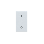 INTERRUTTORE BIPOLARE RAL S45 AVE