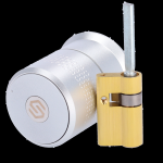 SERRATURA INTELLIGENTE BLUETOOTH CILINDRO EUROPEO PORTE BLINDATE