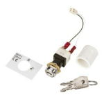 795-118 Kit chiave di accesso di livello 2 per pannelli di controllo DXc